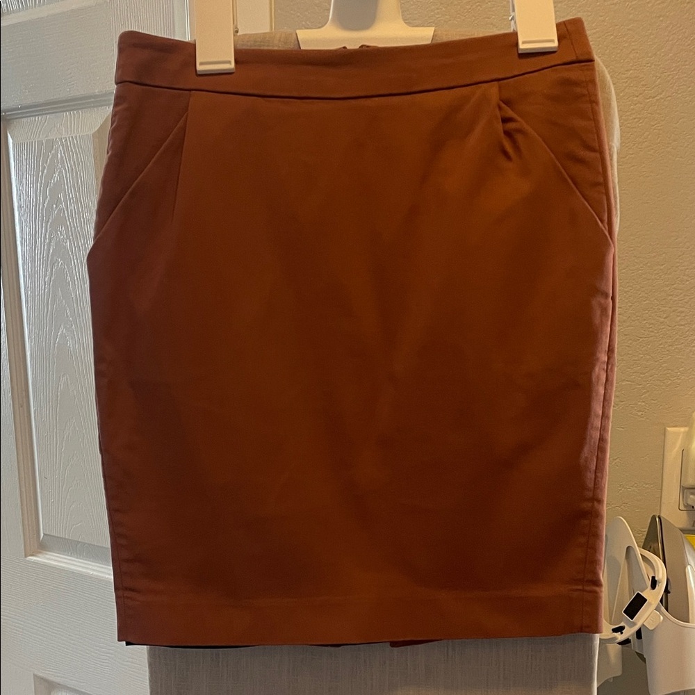 Express Rust Pencil Skirt